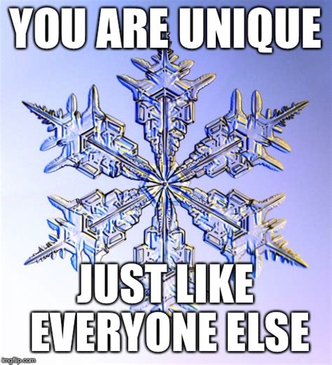 I must be a snowflake funny
